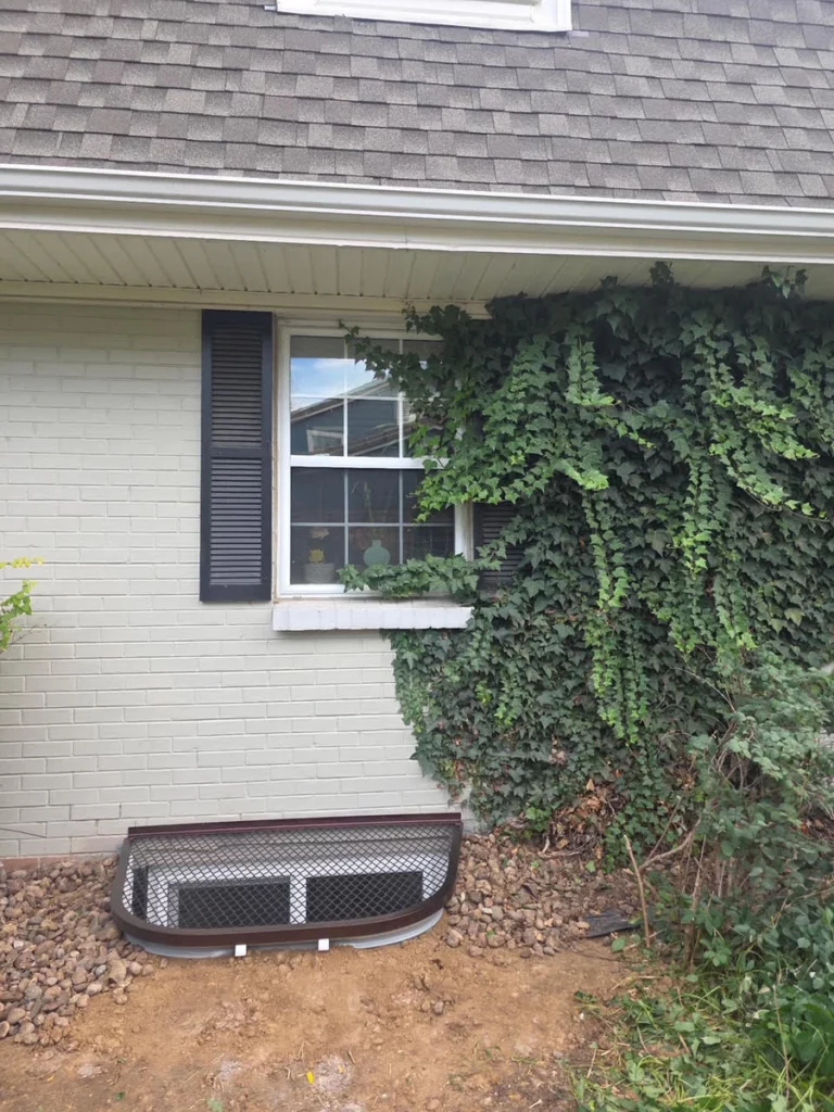Mesh grate covered window well below a shuttered window on a painted brick home with ivy in Denver, CO.