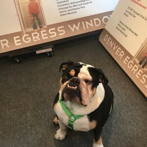 Tucker - Mascott