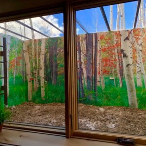 Window Well Covers Denver