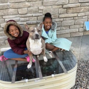 Window Well Covers Denver